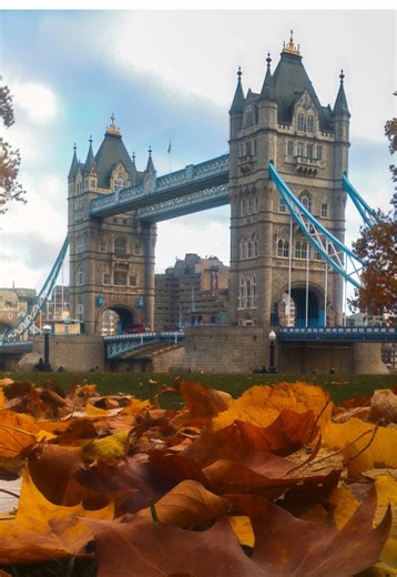 Enhance Your Old Photos with Photoshop's Generative Upscale