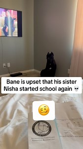 Bane is upset that his sister Nisha started school again 💀 🥴 #Raisingbane #canecorso #funnypets | Raising Bane