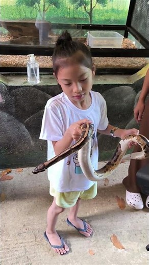 Python 🐍