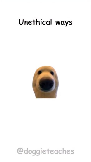 @doggieteaches on Instagram: "Doggie Explains Unethical Ways to Survive School (Satire) Step one — bring snacks and call them “emergency study bait.” Works every time. 🐾🍪 Step two — master the art of pretending you read the chapter (skim, highlight, bluff during discussion). Step three — learn teachers’ favorite words and drop them casually in class. Instant charm points. Step four — trade notes like snacks — share today, get help tomorrow. Reciprocity = survival. Bonus move? Use office hours 