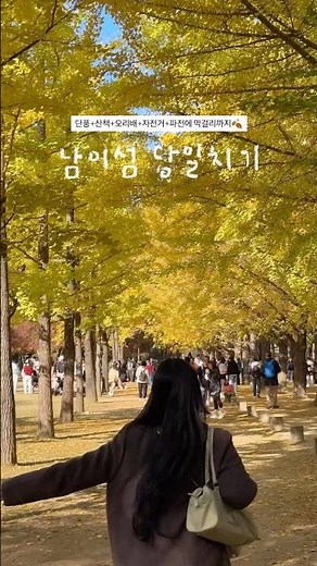 가을낭만 남이섬 당일치기 코스🍂🍁