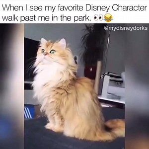 Me. 😂😂😂 | Disney Dorks
