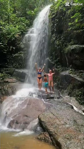 Incredible Brazilian rainforest hike #adventure #familytravel #travel #riodejaneiro