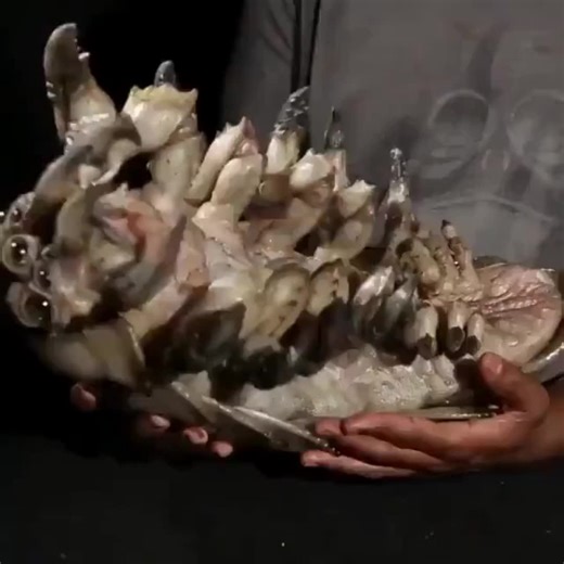 Asgard Online on Instagram: "Guillermo del Toro es tan crack en términos de efectos prácticos 👀 Solo con recordar que hay unos bichos en Titanes del Pacífico donde son 100% hechos por humanos y parece tan reales que fácilmente se pueden confundir con un bicho del mar. Qué otros efectos prácticos te parecieron cool?"