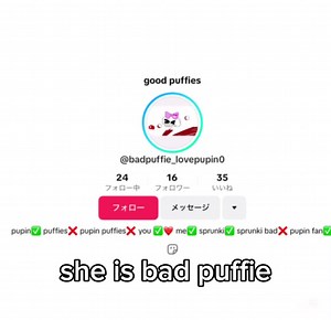 Good Puffies and Fluffy Ponies: A Fandom Guide