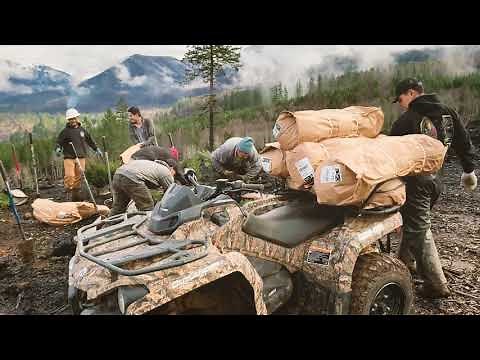 Rebuilding a Forest: Santiam State Forest reforestation