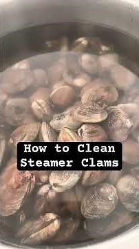 The easiest way to clean Steamer Clams! #steamers #clamming #steamerclams #pnw #shellfish