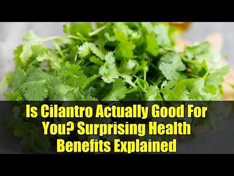 Is Cilantro Actually Good For You? Surprising Health Benefits Explained