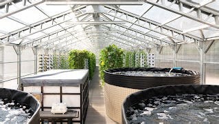 'Beacon of hope': Jacksonville nonprofit launches seventh aquaponics urban farm