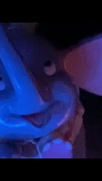 Dumbo the Flying Elephant Ride POV at Disney World Magic Kingdom Park