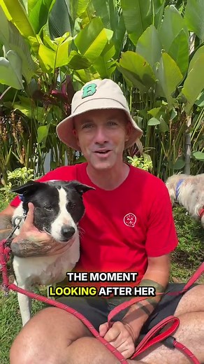 Velvet's Inspiring Journey: From Rescue to Friendship