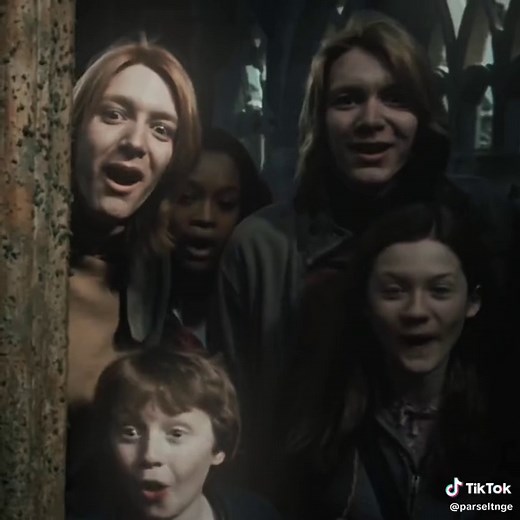 Creative Harry Potter Edits Featuring the Weasley Twins