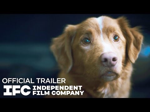 Hulu Just Added The Most Unique Horror Movie of the Last Decade (& You Need to See it)