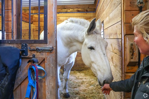 Living in Candia, NH