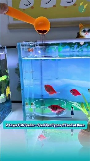 Dual-Layer Fish Feeder for Simultaneous Use of Two Types of Food