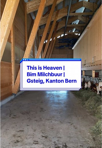 Schweizer Milch und Idylle: Entdecke unseren Bauernhof