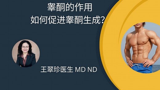 睾酮的作用，如何提高睾酮水平 Everything about Testosterone