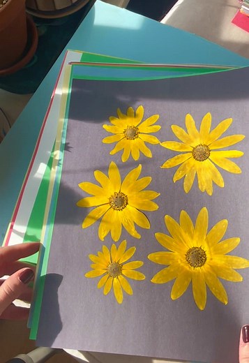 Did you catch my flower pressing tutorial? 🌻✨ just posted ~ in love with these sunflowers! Pressed whole, grown in my garden from seed & then turned into artwork to share with you all 🐝 These flowers are super easy to grow, but be careful bc they’re invasive & will take over! Love her tho