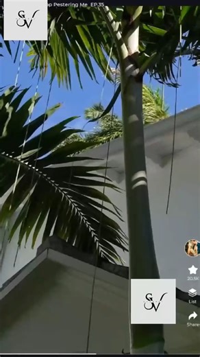 Ex Husband Stop Pestering Me 12of24 | Drama Beyond