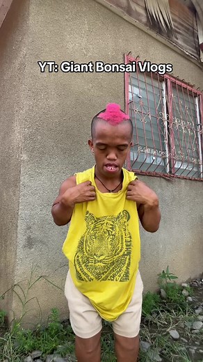 Exploring the World of Giant Bonsai Trees