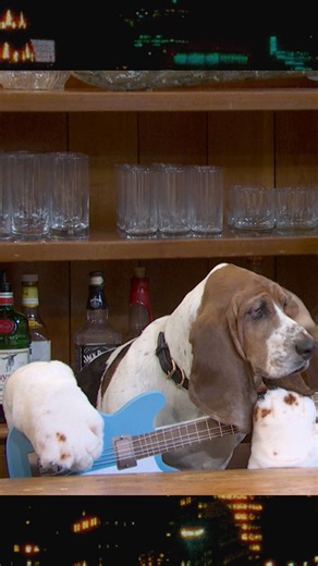 all about that bass | Saturday Night Live