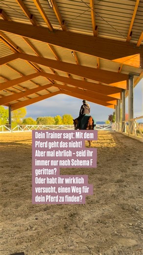 „Mit dem Pferd geht das nicht!“ Wie oft hast du diesen Satz schon gehört? Ja – wir orientieren uns an der Ausbildungsskala, keine Frage. Aber unser Job ist es, sie so auszubauen, dass daraus ein stabiles, jederzeit abrufbares Fundament entsteht. Ein Fundament, das auch dann trägt, wenn dein Pferd mal spannig ist, wenn’s heiß wird im Galopp oder die Anlehnung wieder verloren geht. Denn die Basis ist nichts, was man „einmal kann“. Sie ist etwas, das man jeden Tag neu formt und pflegt – im Warm-up,