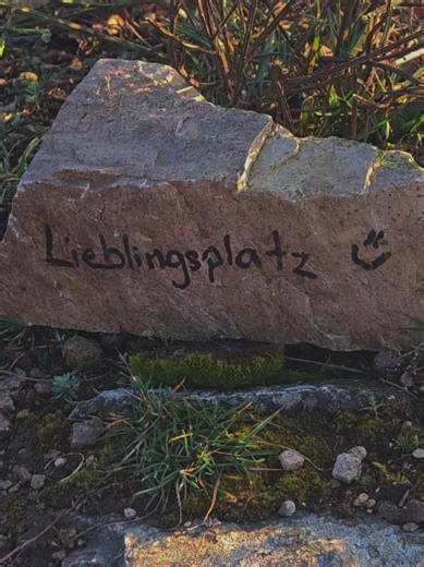 If you can overthink the worst, why can't you overthink the best. #sunset #fyp #viral #mindset #foryou