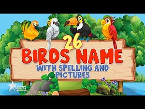 26 Birds Name with Spelling and Pictures | Learn Bird Names for Kids & Beginners