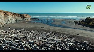 Kai Iwi beach for the summer | Kiwi TV 2017 Limited