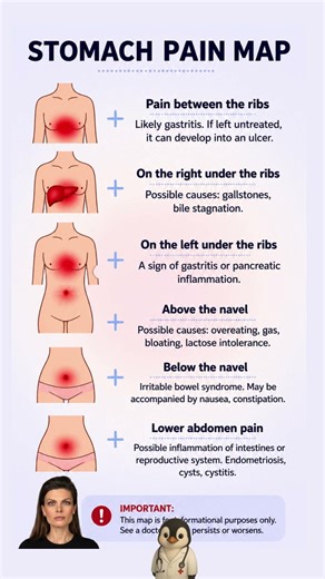 🩺 Stomach Pain Map 📍 What Your Pain Location Might Mean