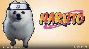 Naruto Soundtrack versión perruna, está muy genial xd Créditos: https://www.youtube.com/watch?v=vjN5DX0M3wo | El Séptimo Hokage