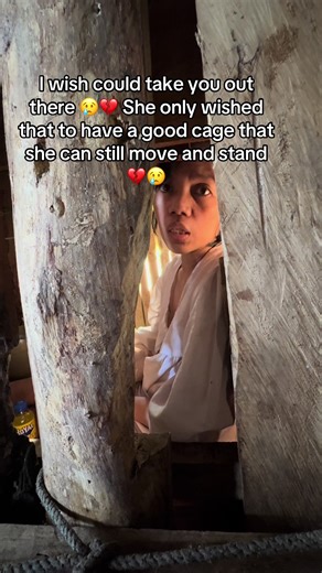 Exploring Psychosis and its Impact on Mental Health