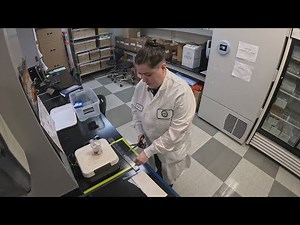 The science behind the pollen count: Three steps help determine the number