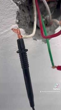 What is the phase, neutral and return in a circuit?