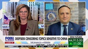 DeepSeek AI app is the 'next weapon for the CCP,' former US military software officer warns