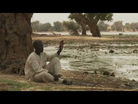 Survival - neglected diseases in Africa