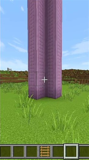 Minecraft Viral Tik Tok Hacks | #shorts #trending