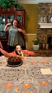 598K views · 7.8K reactions | The Ripple Effect  | America's Funniest Home Videos | Facebook