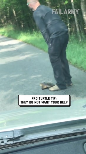 159K views · 511 reactions | don't mess with turtle power 藍 #turtle #turtles #fail | FailArmy | Facebook