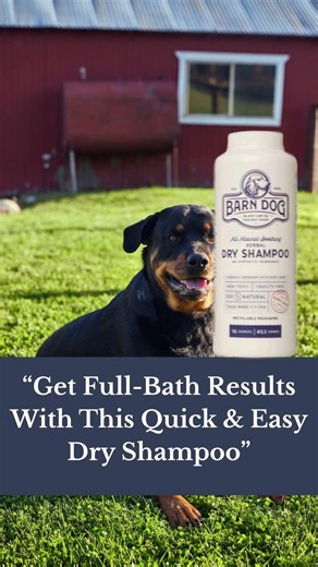 🌿 Introducing Barn Dog Shampoo & Dry Shampoo for a Naturally Clean Pup! 🐾