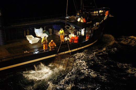 Deadliest Catch (2005) | Facts - Related facts | ČSFD.cz