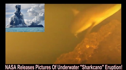 Volcano "full of sharks" erupts