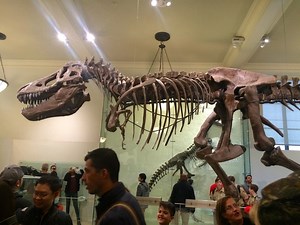 Portsmouth Museum Free This Weekend For Museum Day