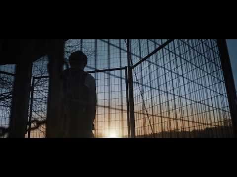 Trailer for Half Bad by Sally Green