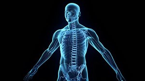Transparent Human Body On Black Background Stock Footage Video (100% Royalty-free) 3058414 | Shutterstock