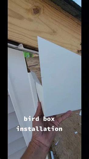 Step-by-Step Guide to Building a Bird Box for Soffit Installation