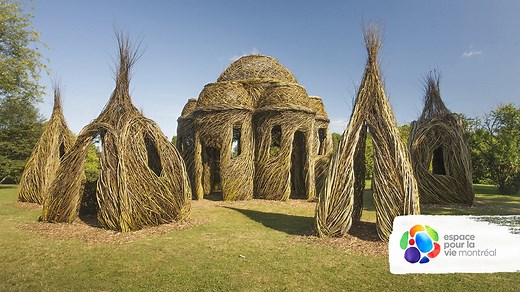 37K views · 466 reactions | Come explore the monumental pieces by internationally acclaimed land artist Patrick Dougherty in the Montréal #BotanicalGarden’s Arboretum. | Espace pour la vie | Facebook