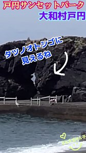 奄美 タツノオトシゴに見える 大和村 戸円サンセットパーク 2026 4月#奄美#大和村#戸円#タツノオトシゴ