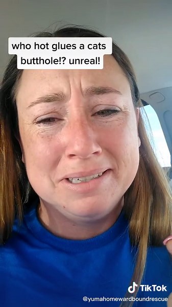 part two of cat abuse unreal!!! #cats #abuse #endanimalabuse #fyp #yuma #az #kittens #savecats #evil #foryoupage