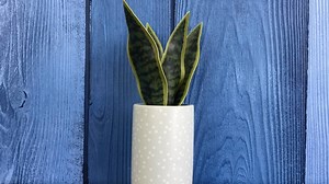 #017 Drawing Better Vertical Lines, Horizontal Lines, and Ovals Too!